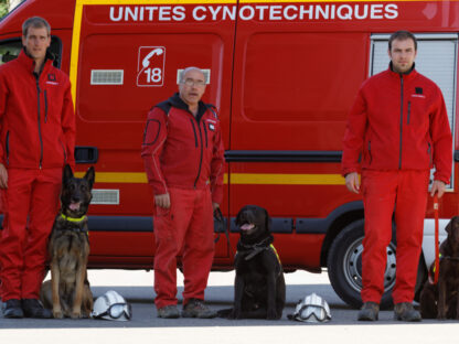 Rencontre avec les sapeurs-pompiers cynophiles du SDIS 31