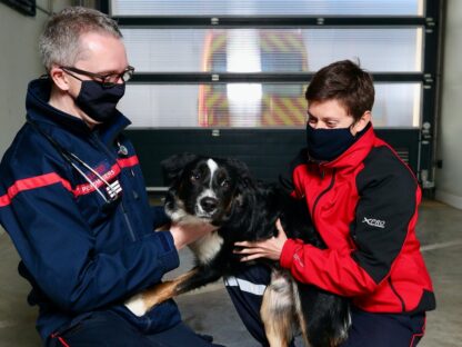 Des nouvelles rassurantes de Rocket