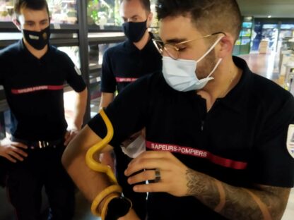 Formation interventions diverses