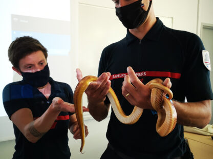 Sensibilisation au risque animalier