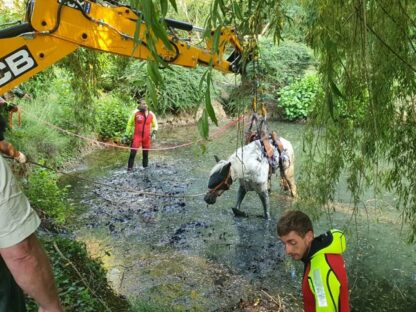 Sauvetage d'un cheval