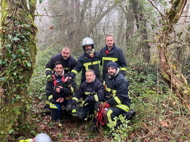 6 sapeurs-pompiers du CIS de Fronton avec le chien sauvé lors de l'intervention du 29 décembre 2024